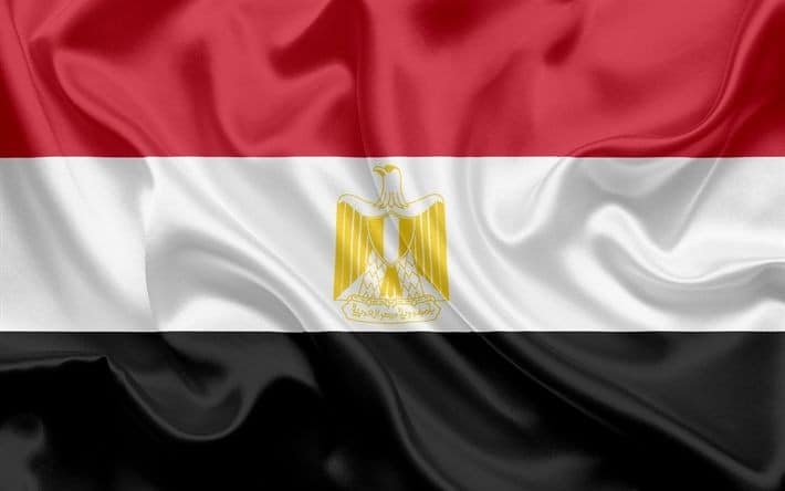 مصر/ السيسي يوجه بإعلان حالة الحداد لمدة 3 أيام على رحيل السبسي