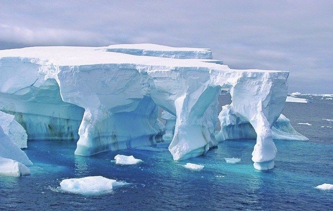 Un ADN vieux d'un million d'années en Antarctique commence à parler