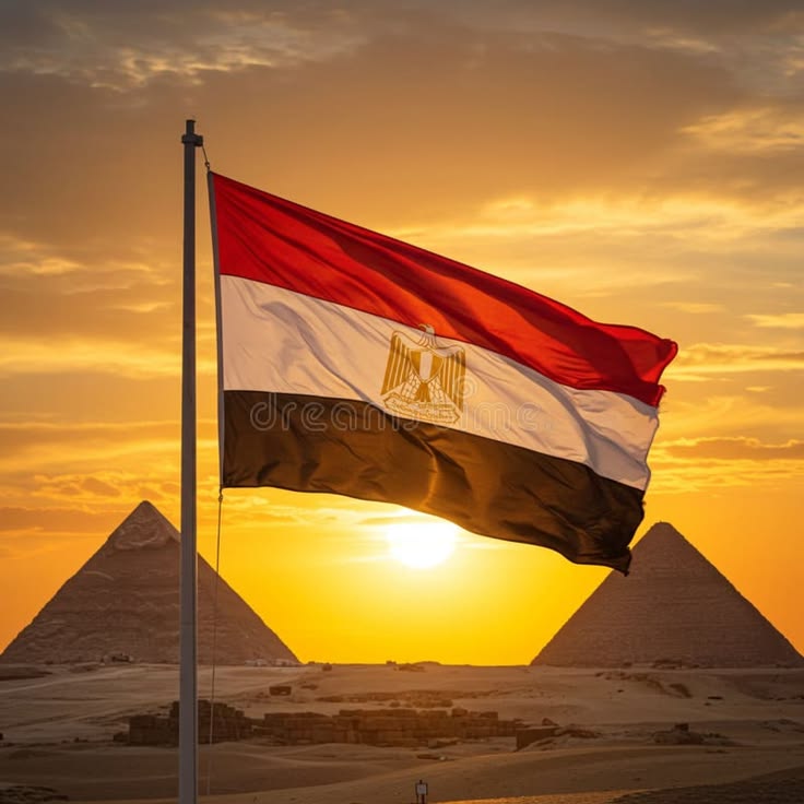 جينات الانتماء: لماذا تظل "المصرية" رابطة مقدسة عابرة للحدود والزمن؟