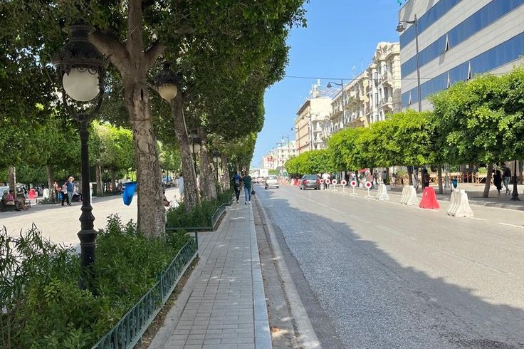 Planter des arbres ne suffit plus : quand la ville choisit mal son futur végétal, Et si planter un arbre n’était pas toujours un geste écologique 