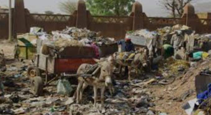 Kenya: Animals are dying for stomach full plastic