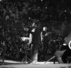 Adam at Carthage: A Night of Tarab and Emotion