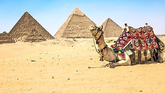 Egypte: Interdiction des dromadaires devant les pyramides