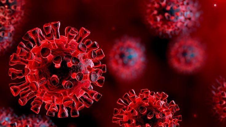 La découverte d'une nouvelle variante du VIH envoie un avertissement pour la pandémie de COVID