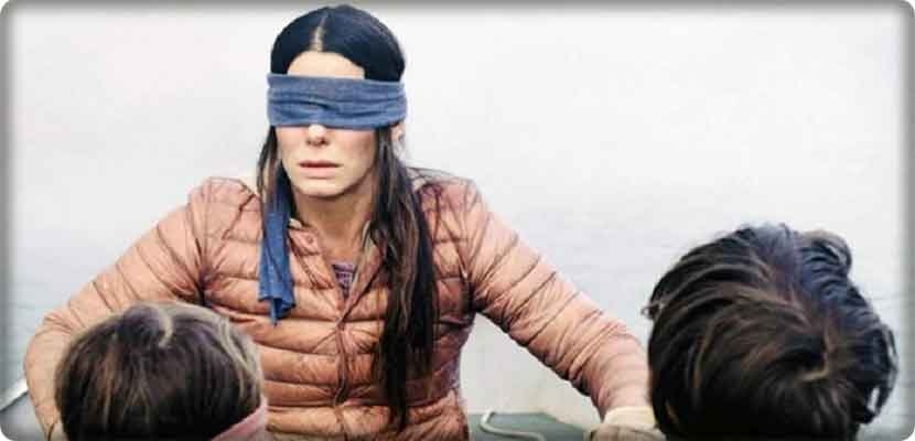  bird box challange أول تحد فى 2019 