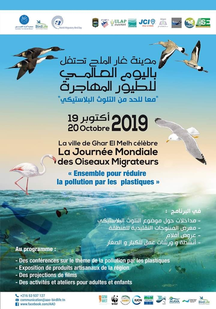 Célébration des oiseaux migrateurs